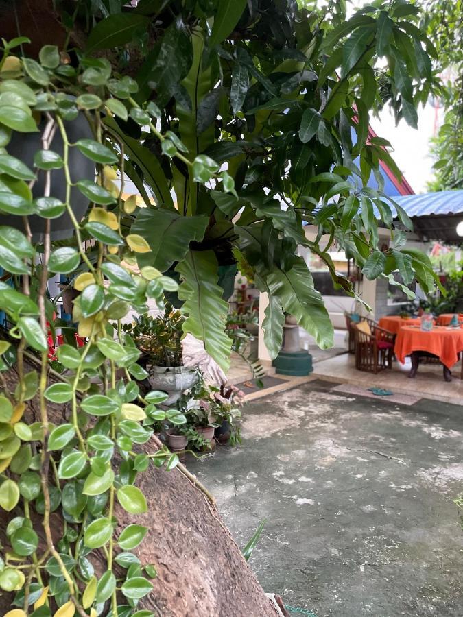Rock Cascade Tourist Home & Cookery School Polonnaruwa Εξωτερικό φωτογραφία