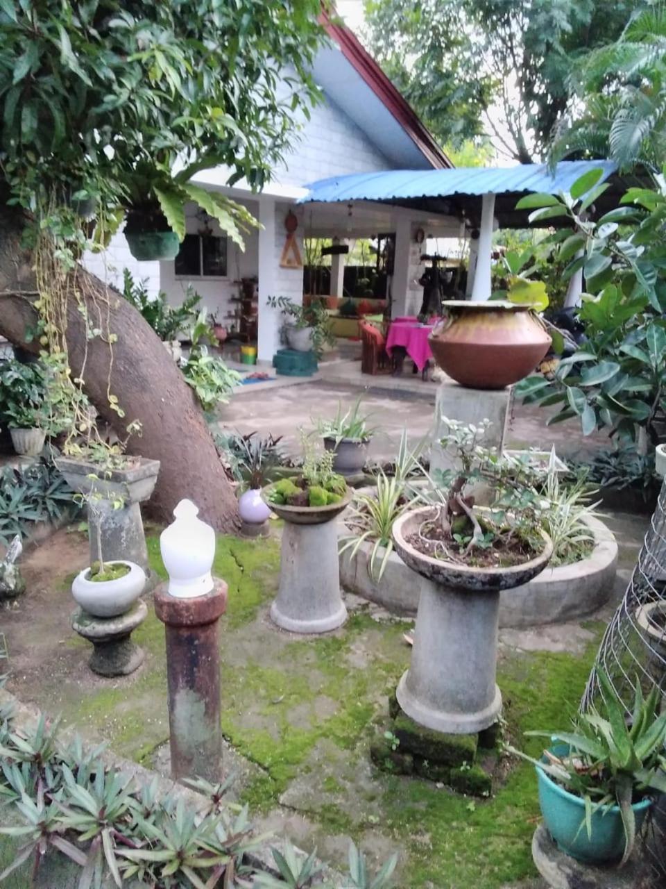 Rock Cascade Tourist Home & Cookery School Polonnaruwa Εξωτερικό φωτογραφία