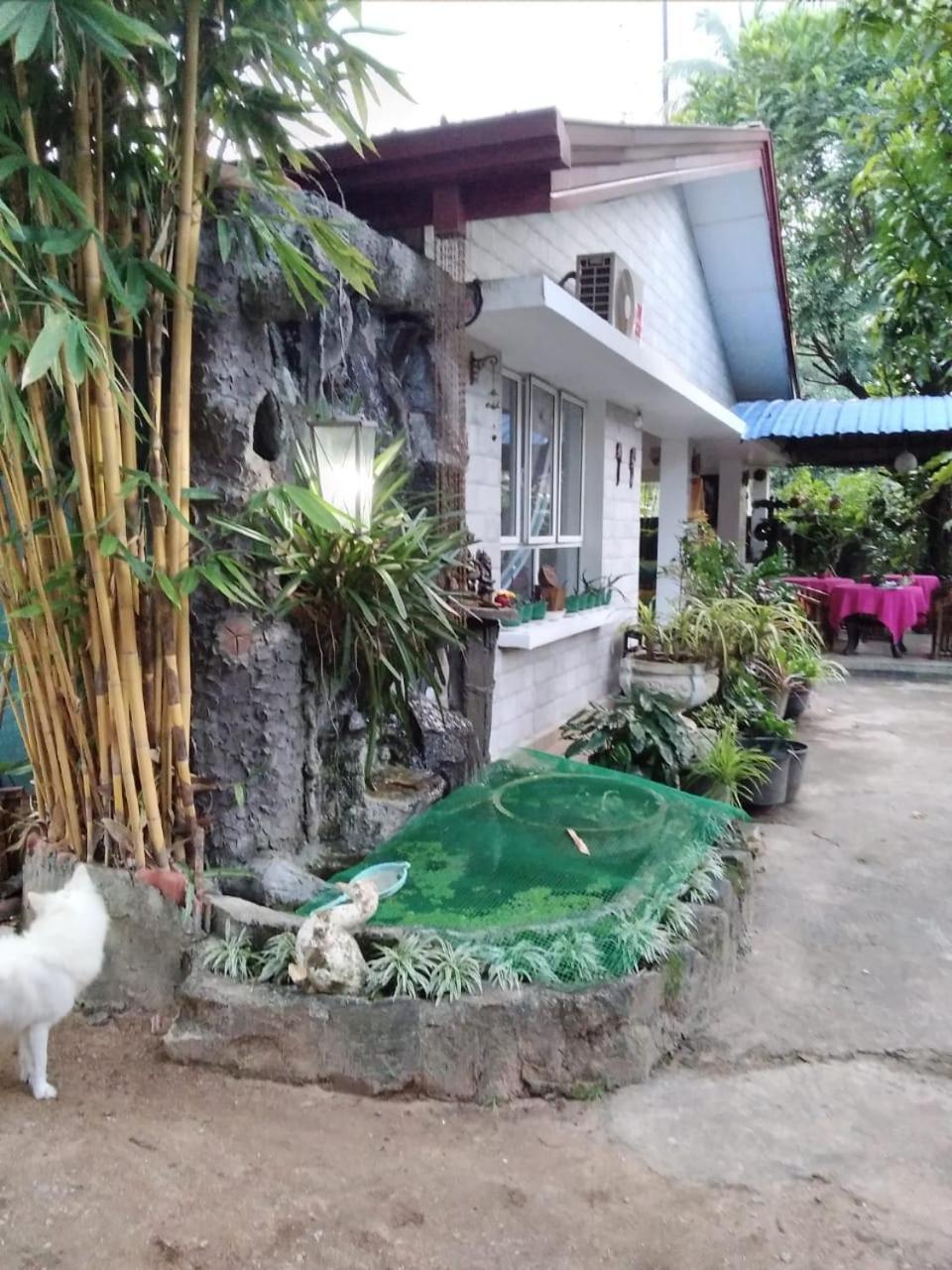 Rock Cascade Tourist Home & Cookery School Polonnaruwa Εξωτερικό φωτογραφία