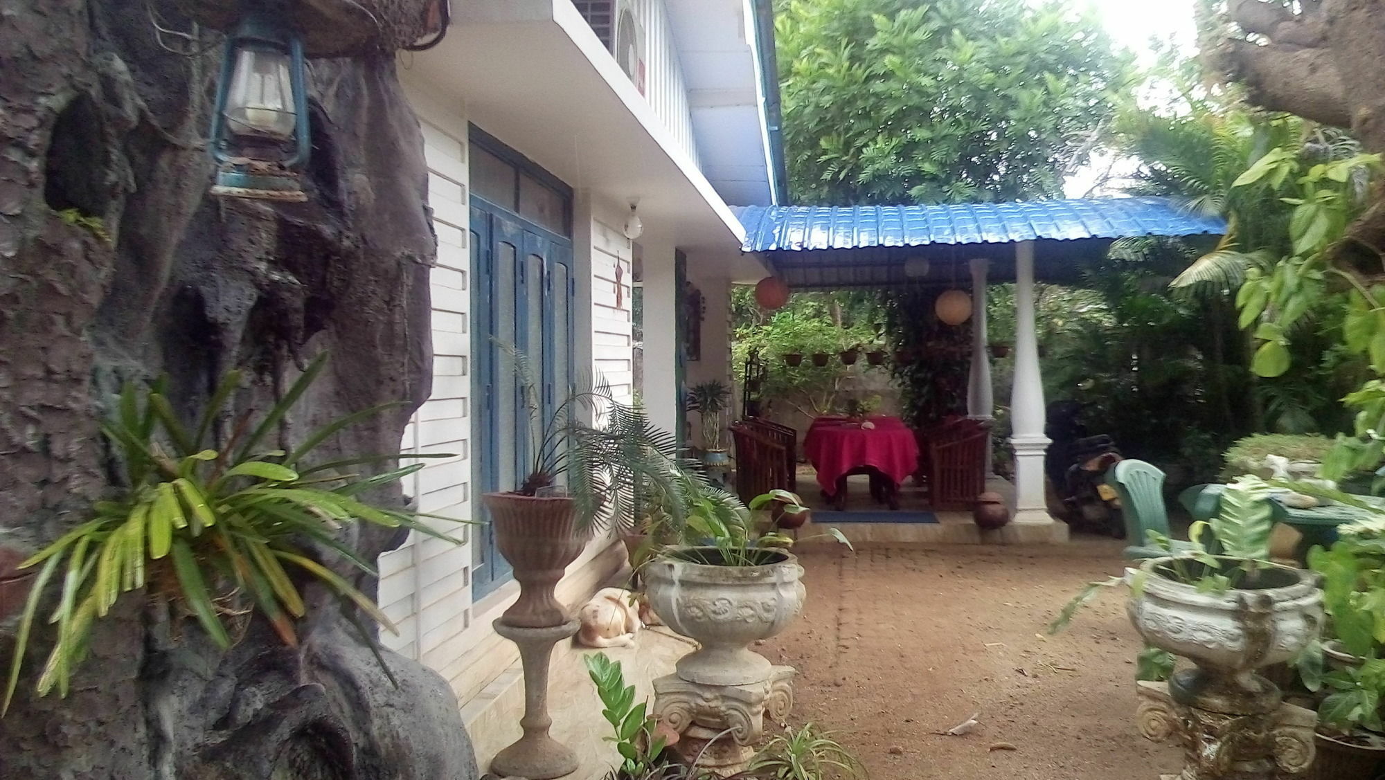 Rock Cascade Tourist Home & Cookery School Polonnaruwa Εξωτερικό φωτογραφία